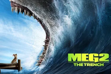 Imagem ilustrativa da imagem Adrenalina e suspense na volta do tubarão gigante