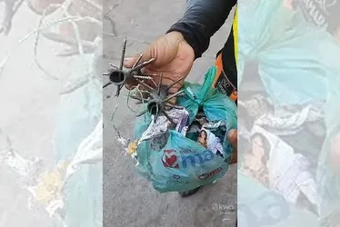 Imagem ilustrativa da imagem Advogada atingida por pedra: motoristas e moradores assustados com ataques