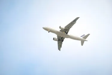 Imagem ilustrativa da imagem Airbus anuncia projeto de avião com teto transparente