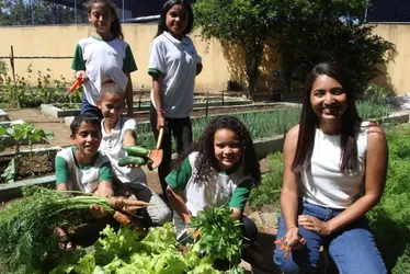 Imagem ilustrativa da imagem Alunos disputam prêmio com horta sustentável