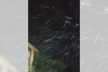 Imagem ilustrativa da imagem Após ciclone, Santa Catarina tem neve e temperaturas abaixo de zero