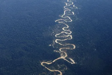 Imagem ilustrativa da imagem Ataque a tiros em aldeia yanomami mata criança e deixa cinco feridos