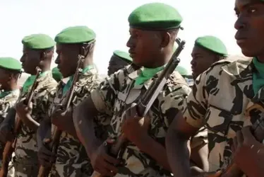 Imagem ilustrativa da imagem Ataques terroristas no Mali matam ao menos 49 civis e 15 soldados