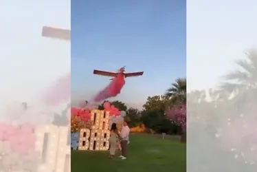 Imagem ilustrativa da imagem Avião cai, e piloto morre após manobra em chá de revelação