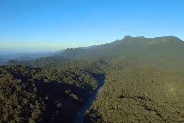 Imagem ilustrativa da imagem Avião com servidores públicos desaparece no PR