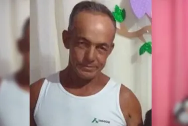 Imagem ilustrativa da imagem Avô que tentou salvar neto de ataque de abelhas segue internado