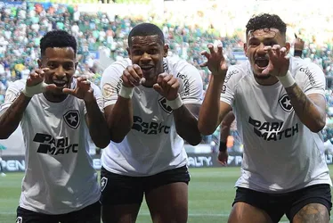 Imagem ilustrativa da imagem Botafogo vence Palmeiras em SP e dispara na liderança do Brasileiro
