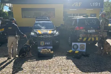 Imagem ilustrativa da imagem Cães da PRF encontram mais de 40 kg de drogas em ônibus com destino ao ES