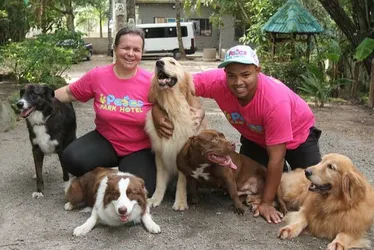 Imagem ilustrativa da imagem Cães de creche pet em Vila Velha “respondem” até lista de chamada