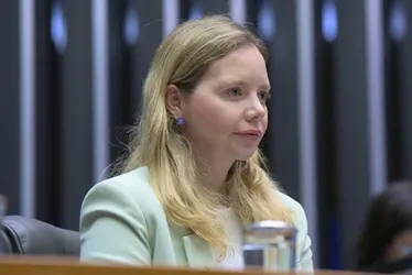 
          Imagem ilustrativa da imagem Câmara quer mais deputados após censo apontar revés
          