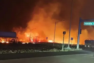 Imagem ilustrativa da imagem Carbonizados, só 5 dos 106 mortos no Havaí foram identificados após 1 semana