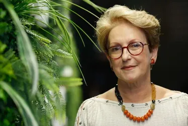 Imagem ilustrativa da imagem Cientista brasileira perde votação para comandar painel climático da ONU