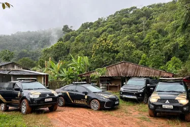 Imagem ilustrativa da imagem Cinco pessoas são presas no ES e MG, em operação da Polícia Federal