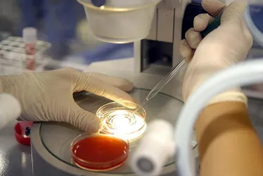 Imagem ilustrativa da imagem Clínicas de fertilização oferecem financiamento em até 36 vezes para ter filho