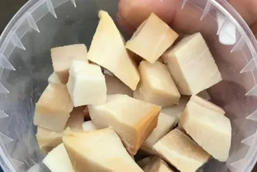 Imagem ilustrativa da imagem Conheça o Hákarl, petisco feito de carne apodrecida de tubarão