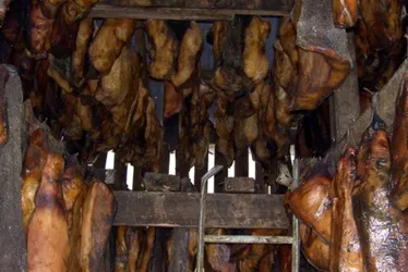 Imagem ilustrativa da imagem Conheça o Hákarl, petisco feito de carne apodrecida de tubarão