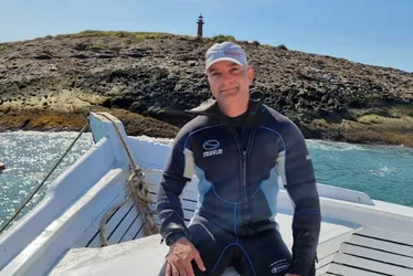 Imagem ilustrativa da imagem Coral invasor  é ameaça em navio afundado no ES