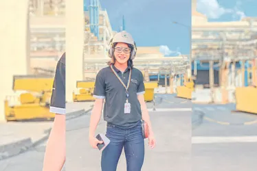 Imagem ilustrativa da imagem Diversidade e inclusão na rotina empresarial