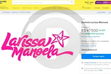 Imagem ilustrativa da imagem Domínio de site com nome de Larissa Manoela é vendido pelo diretor do Palmeiras