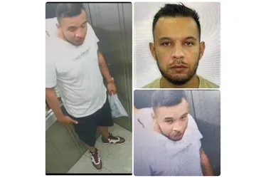 Imagem ilustrativa da imagem Dupla que roubou R$ 400 mil em prédio de luxo na Praia do Canto é presa em SP