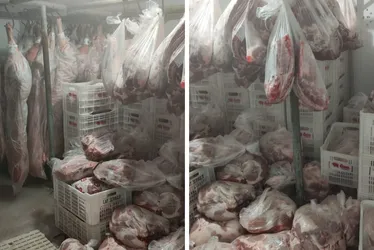 Imagem ilustrativa da imagem Empresário é preso e distribuidora clandestina de carnes é fechada em Vila Velha