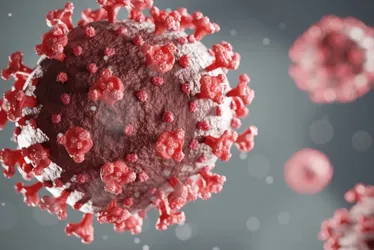 Imagem ilustrativa da imagem Éris: Brasil confirma mais dois casos da nova variante da covid-19