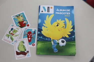 Imagem ilustrativa da imagem Escola de Vitória lança álbum de figurinhas para Copa do Mundo Feminina
