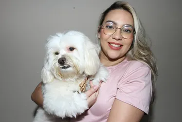 Imagem ilustrativa da imagem Estudo mostra que os cães ouvem mais vozes femininas