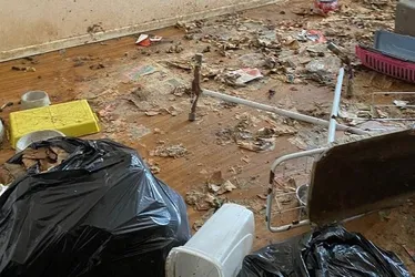 Imagem ilustrativa da imagem Família é condenada a prisão pela morte de 11 animais no Centro de Vila Velha