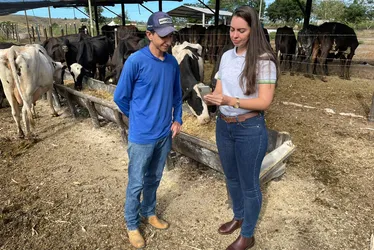 Imagem ilustrativa da imagem Fazendas do ES procuram 1.500 jovens para trabalhar