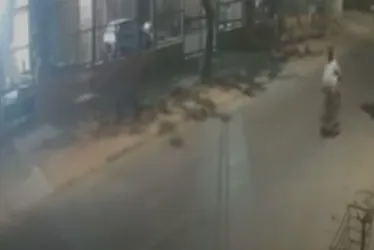 Imagem ilustrativa da imagem Filha de jovem que morreu após cair de bicicleta é achada sozinha em BH
