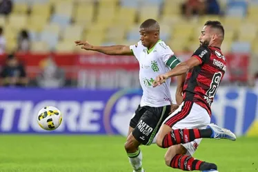 Imagem ilustrativa da imagem Flamengo recebe América-MG tentando se aproximar da liderança