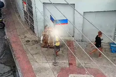 Imagem ilustrativa da imagem Foragida da Justiça há mais de um ano é presa pela Guarda Municipal em Vitória