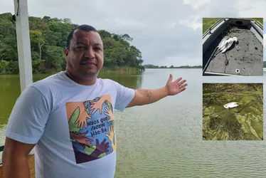 Imagem ilustrativa da imagem Garças aparecem mortas em lagoa de Anchieta