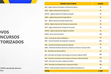 Imagem ilustrativa da imagem Governo Federal autoriza preencher mais de 3 mil vagas no serviço público