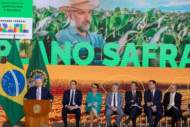 Imagem ilustrativa da imagem Governo lança Plano Safra de R$ 364,22 bilhões para agronegócio