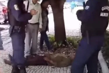 Imagem ilustrativa da imagem Homem com deficiência tem cadeira de rodas roubada e fica no chão