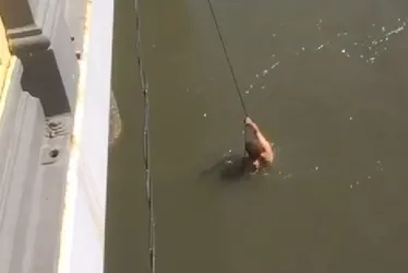 Imagem ilustrativa da imagem Homem morre afogado após furtar celular e pular no Rio Capibaribe