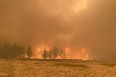 Imagem ilustrativa da imagem Incêndios florestais forçam retirada de 30 mil pessoas no Canadá