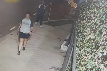 Imagem ilustrativa da imagem Jovem suspeito de atacar ao menos 10 mulheres em parque de SP é preso