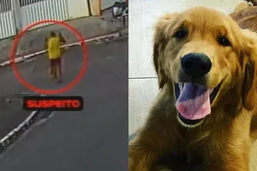 Imagem ilustrativa da imagem Justiça manda devolver arma a PM que atirou e matou cachorro em Guarapari