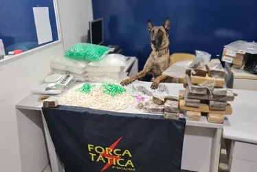 Imagem ilustrativa da imagem Mais de 3 mil pinos de cocaína são apreendidos em caixa d'água em Vila Velha