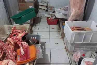 Imagem ilustrativa da imagem Mais de 500 kg de carne apreendidos e dono de abatedouro preso em Cariacica