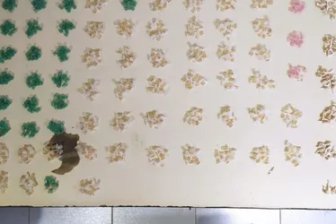 Imagem ilustrativa da imagem Mais de 700 pedras de crack são apreendidas pela PM em bairro de Vitória