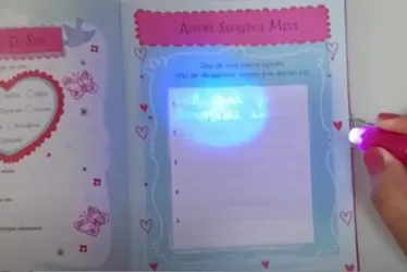 Imagem ilustrativa da imagem Menina de 9 anos revela abusos sexuais do pai em diário