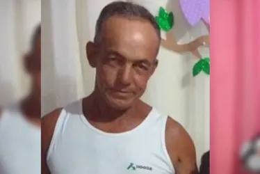 Imagem ilustrativa da imagem Morre avô que salvou neto de ataque de abelhas em Fundão