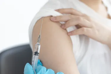 Imagem ilustrativa da imagem Município do Rio vai testar vacina contra a dengue