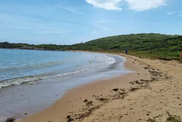 Imagem ilustrativa da imagem Namorada de jovem que teve a barriga aberta em praia de Guarapari é inocentada