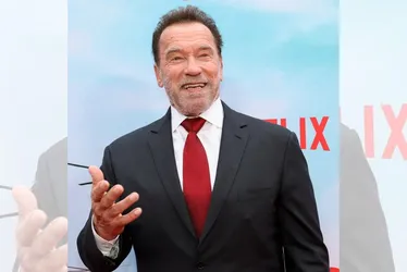 Imagem ilustrativa da imagem ONG de Arnold Schwarzenegger quer investir no ES