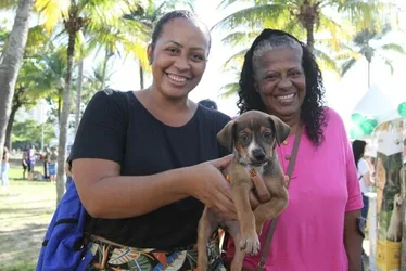 Imagem ilustrativa da imagem Paixão à 1ª vista entre famílias e pets em feira de adoção